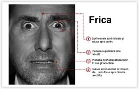 Puteți găsi jocul picnic cuvânt pe piețele google play. Fobii Ciudate My Mind Ganduri Èi Picturi