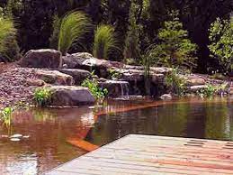 The rocks are used to build the base while the board is used as the pathway. Natural Pools Natural Swimming Pools And Ponds