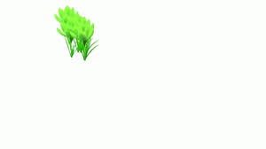 Png Flowers Gif Png Flowers Animated Gifs Flowers Gif Animated Gif Gif