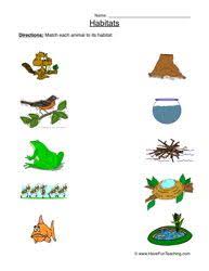 Animal Worksheets Page 6 Of 8 Have Fun Teaching Habitat Animais Atividades