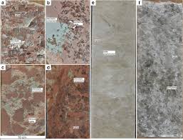 It resists bacteria when properly sealed and provides a reliable work surface for baking and other kitchen activities. Structural Evolution Of Continental And Marine Permian Rock Salt Of The North German Basin Constraints From Microfabrics Geochemistry And U Pb Ages Springerlink