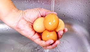 4 Ways To Clean Fresh Eggs Before You Eat Them Hobby Farms