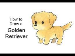 How to draw a labrador | golden retriever puppy easy#howtodraw #puppy #happydrawingsif you like my work, please, share, like, comment and subscribe ♡ How To Draw A Golden Retriever Cartoon Youtube