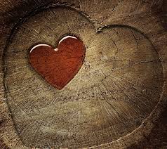 Red ,white and brown heart illustration. Tree Stump Brown Heart Love Red Wood Hd Wallpaper Peakpx