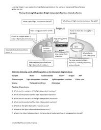 Maybe you would like to learn more about one of these? Photosynthesis Light Dependent Light Independent Reactions Of Photosynthesis Interactive Review Interactive Worksheet