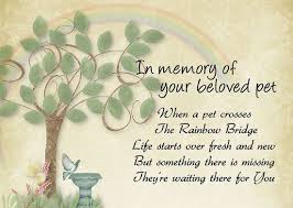 Перевод песни over the rainbow — рейтинг: 200 Rainbow Bridge Ideas In 2021 Rainbow Bridge Pet Loss Grief Pet Loss