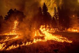 The tennant fire started at the intersection of ca hwy 97 and tennant road. Dixie Fire Becomes Largest Single Wildfire In California History