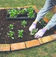 Maybe you would like to learn more about one of these? How To Create A New Flowerbed Without Digging In 3 Easy Steps Garden Flower Beds No Till Garden Flower Beds
