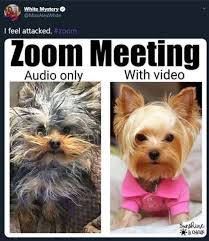 #memes #zoom #dank #education #school. Zoom Fails Memes That Perfectly Sum Up Working From Home