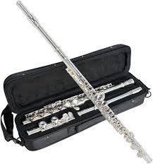 Amazon Com Sonata Student Flute Musical Instruments