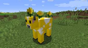 Not surprisingly, when we asked this on independenttraveler.com's be the first to discover secret destinations, travel hacks, and more. Earths Animals Mods Minecraft Curseforge