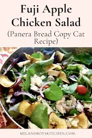 Fuji Apple Chicken Salad Panera Bread Copy Cat Recipe Mel And Boys Kitchen Recipe In 2020 Chicken Salad With Apples Fuji Apple Chicken Salad Apple Salad Recipes
