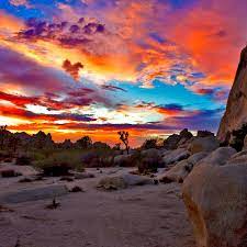 Joshua Tree National Park Sunset 1 Throw Pillow By Photosbyflood Scenery Joshua Tree National Park Beautiful Sunset