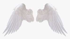 Fairy wings overlay free supported by any software that allows you to work with layers (adobe creative cloud, photoshop (versions from 4 to 6), paint shop pro, gimp). Angel Wings Psd Atei Agnostici Romani