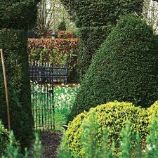 Love is inside the air and butterflies are resting at the freshly bloomed flowers. Mit Einer Hecke Den Garten Verschonern Living At Home