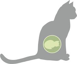 Etwa in der dritten woche nach der befruchtung kann der tierarzt ertasten, dass ihre katze kitten erwartet. Trachtige Katze Diese Punkte Gilt Es Zu Beachten Cat S Best