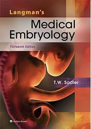 Langman S Medical Embryology 13th Edition Pdf Medical Textbooks Medical Library Free Medical