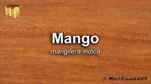 Mango furniture as the current market leaders for solid mango wood furniture we have a vast array of products, colours and designs to choose from. Mango Wood Furniture In Austin Before You Buy World Interiors