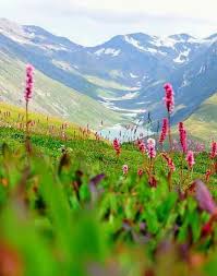 Neelam Valley Azad Kashmir Pakistan Valley Of Flowers Beautiful Places To Visit Most Beautiful Places