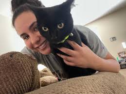 Lost cat in Springwood area?