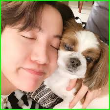 Army Merapat Begini Imutnya Hewan Peliharaan Bts Dunia Fauna Hewan Binatang Tumbuhan Dunia Fauna Hewan Binatang Tumbuhan