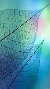 Check out this fantastic collection of samsung galaxy wallpapers, with 72 samsung galaxy background images for your desktop, phone or tablet. 12 Samsung Wallpaper Download New Ryan Wallpaper
