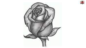 By andy leslie (crewe, cheshire, uk). How To Draw A Realistic Rose Easy Step By Step Drawing Tutorials For Kids Ucidraw Youtube