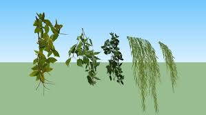Vines Set 3d Warehouse Kiến Truc Cay Cay Cỏ