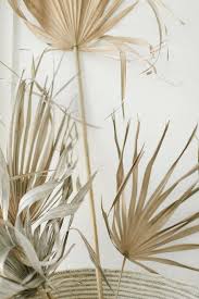 Dried Palm Fronds Sfgirlbybay Positively Packaged Positively Stocked Website Templates Stock Photograph Beige Color Palette Dried Flowers Color Stories