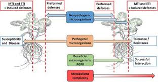 Frontiers The Chemistry Of Plant Microbe Interactions In