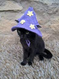 Purple Wizard Cat Hat Wizard Hat For Cat Wizard Hat For Etsy In 2021 Cat Accessories Pet Wizard Cat Hat For Cat