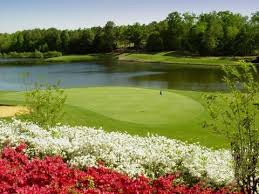 Blossomflowerdelivery.com has been visited by 10k+ users in the past month Embassy Suites By Hilton Greenville Golf Resort Conference Center Greenville Sc Gsp Airport Park Sleep Hotels