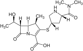 Pick a pattern and find the drum beat with the free app. Meropenem Wikipedia