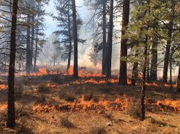 No personal information is requested in the form. Central Or Fire Info On Twitter Ignitions Have Started On The Prescribed Burn Near Cabin Lake About 20 Miles East Of La Pine Smoke May Visible Along Fs Road 18 And In