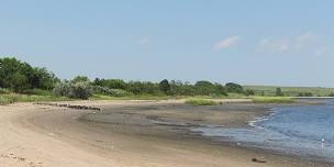 Canarsie Beach Clean Up