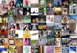 Image result for tbn:C3lu_vUNPC2tpM::gallery.7lm.com/data/media/100/bigbigcat.jpg