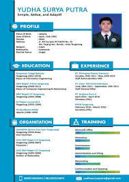 Contoh Cv Menarik Cv Kreatif Creative Cv Template Desain Resume