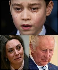 King Charles losing his power over the crown now with 'King William V'  afoot See the comments for the whole, shocking story 😲👇🏻👇🏻