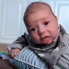 David Lubofsky (@davidlubofsky) • Instagram photos and videos