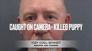 🚨 PUPPY KILLER WALKING FREE?! 🚨, 📍 Longv#animalcrueltyawareness , NO  COURT DATES. AT ALL!, 🎥 Caught