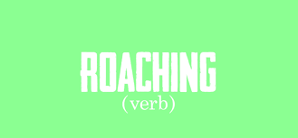 This could be the only web page dedicated to explaining the meaning of dang (dang acronym/abbreviation/slang word). Dating Slang 12 Terms You Need To Know In 2020 Social Catfish