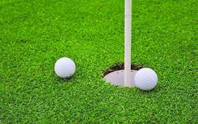 Artificial Grass Accessories