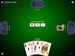 We did not find results for: Trickster Euchre