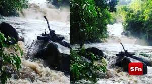 Последние твиты от cabeça d'água (@cabecadagua). Parque Estadual Do Desengano Alerta Para Risco De Cabecas D Agua Em Cachoeiras Da Regiao Sf Noticias