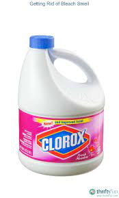 Getting Rid Of Bleach Smell Clorox Bleach Bleach Smelling
