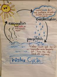 Water Cycle Anchor Chart Science Anchor Charts Science