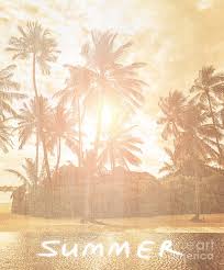 We did not find results for: Vintage Beach Wallpaper Photograph By Anna Om