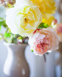 So, you cut your roses, gave them fresh water and a few flower heads have drooped over. Monday Flowers Christmas Roses