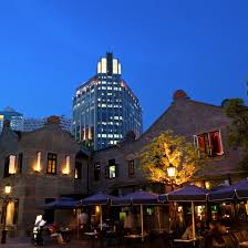 Image result for Thesium bundiense