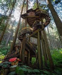 Many internet ads for tree houses are actually offering regular houses near trees or on stilts. 38 Super Satisfying Pictures To Make You Feel Great Cool Tree Houses Beautiful Tree Houses Tree House Designs